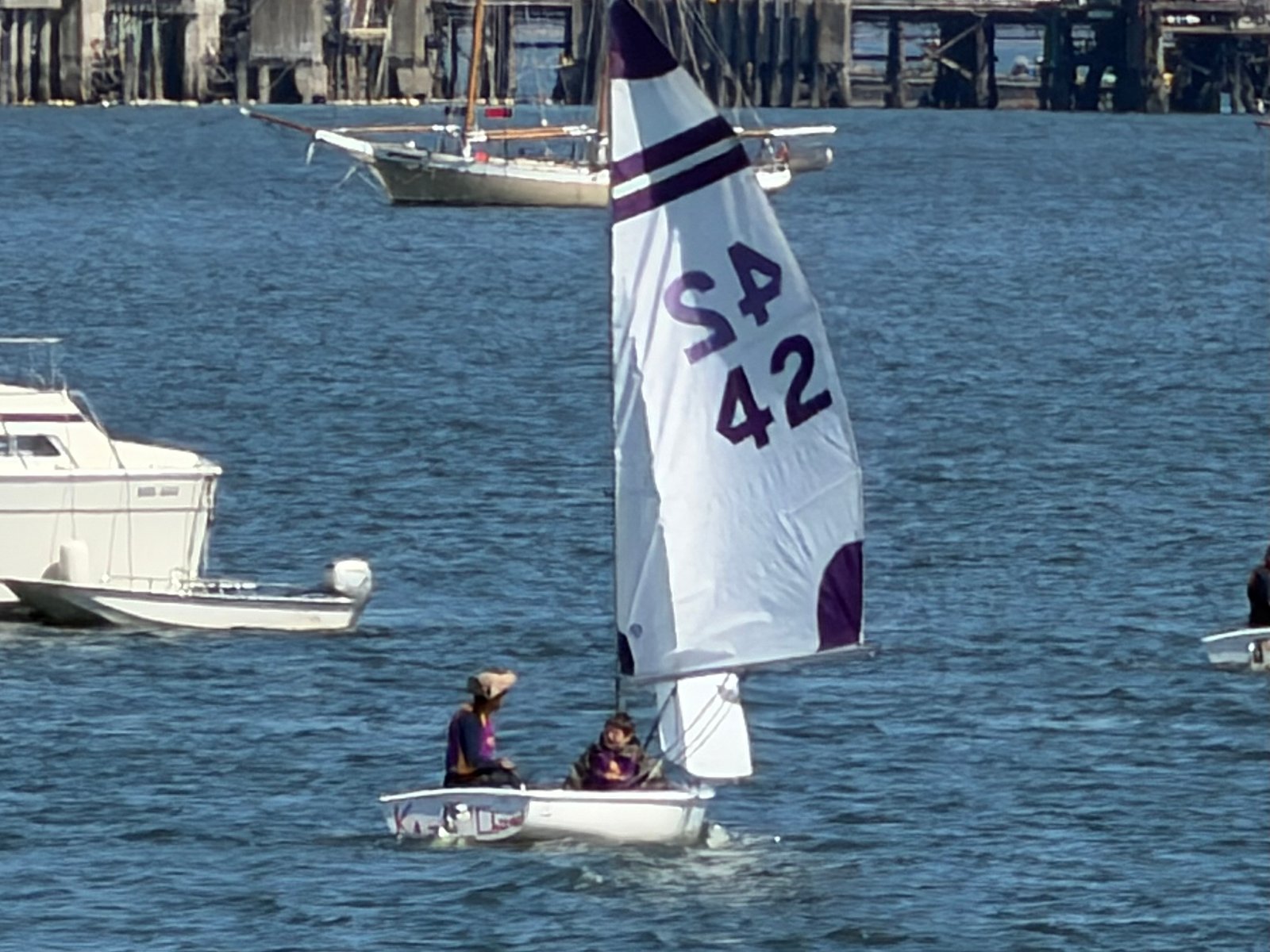 Dante racing an FJ sailboat at regatta